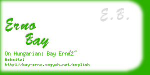 erno bay business card